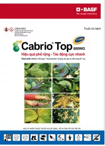 Cabrio Top 100g