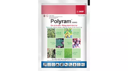 Polyram 80WG (100g)