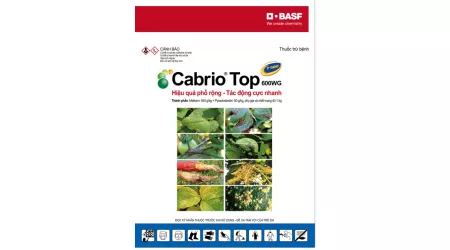 Cabrio Top 100g