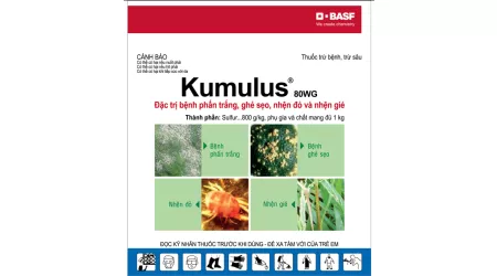 Kumulus® 80WG