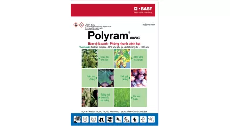 Polyram 100g