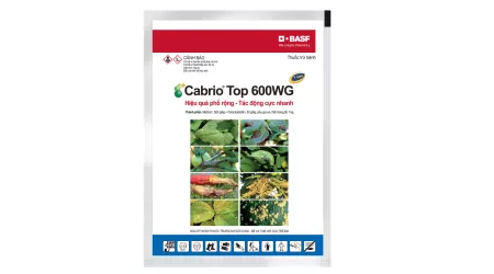 Thuốc trừ bệnh phổ rộng, tác động cực nhanh.